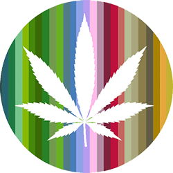 Project Inspiration #1: Cannabis Culture (of course)
