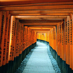 Project Inspiration #3: Fushimi Inari-Taisha in Kyoto, Japan